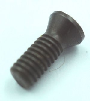 torx screw